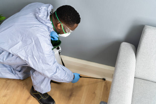 Best Pest Exclusion Services  in Schriever, LA